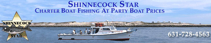 Shinnecock Star Fishing